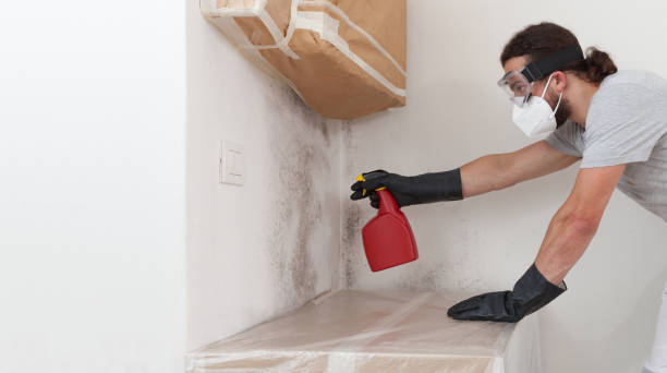 Professional Bathroom Mold Removal technician working in Cochranville, PA